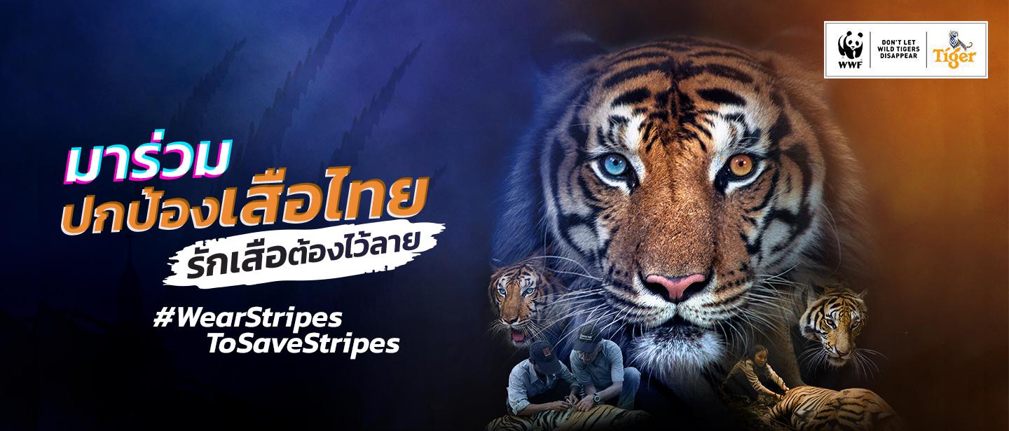Tiger_header_banner